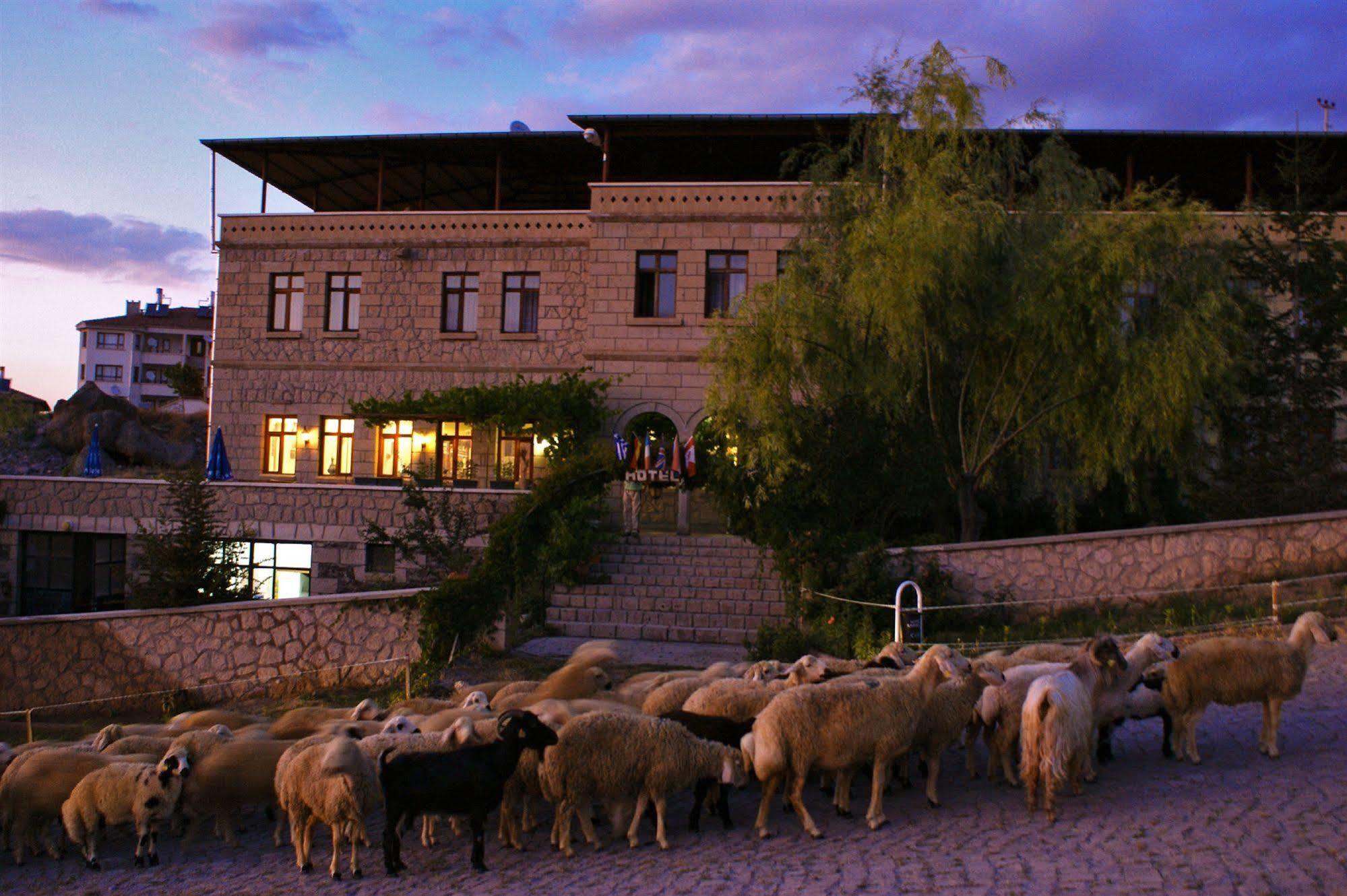 Hotel Karvalli Güzelyurt Dış mekan fotoğraf